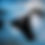 Thumbnail: BIKINI BOTTOM