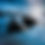 Thumbnail: BIKINI TOP
