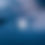 Thumbnail: A WHITE RINGS